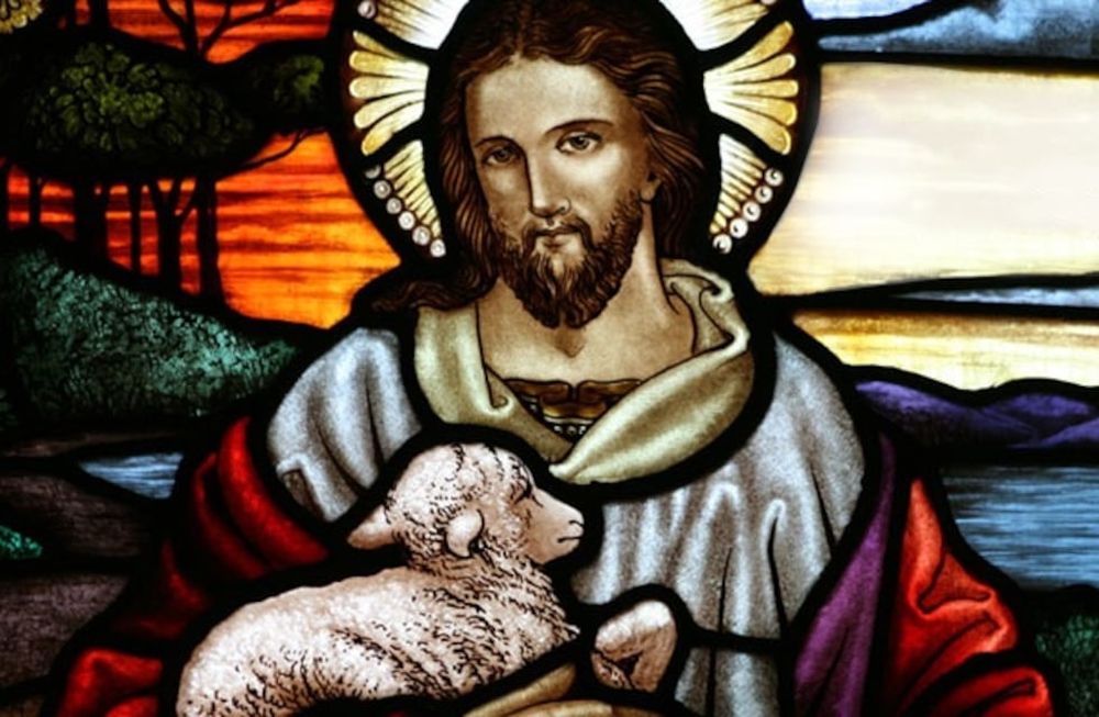 Vio una numerosa multitud que lo estaba esperando y se compadeció de ellos, porque andaban como ovejas sin pastor, y se puso a enseñarles muchas cosas.