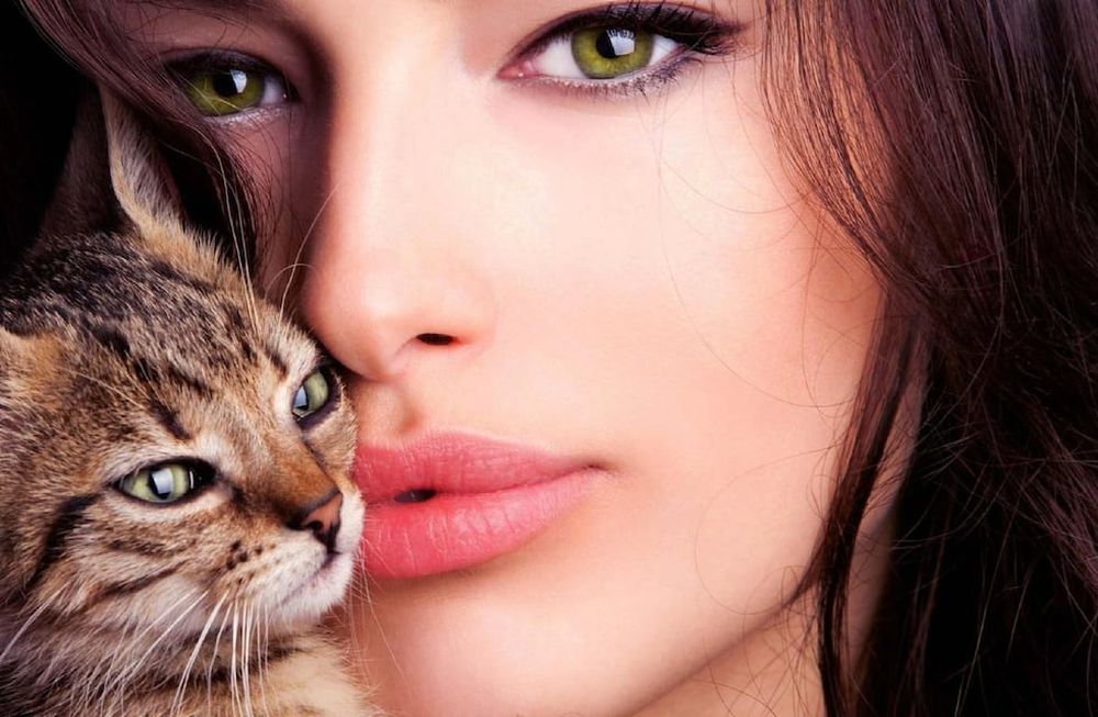 ¿Los gatos entienden mejor a las mujeres?