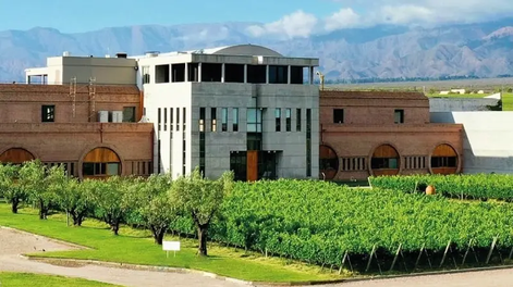 Investigan presunta administración fraudulenta en Bodega Monteviejo