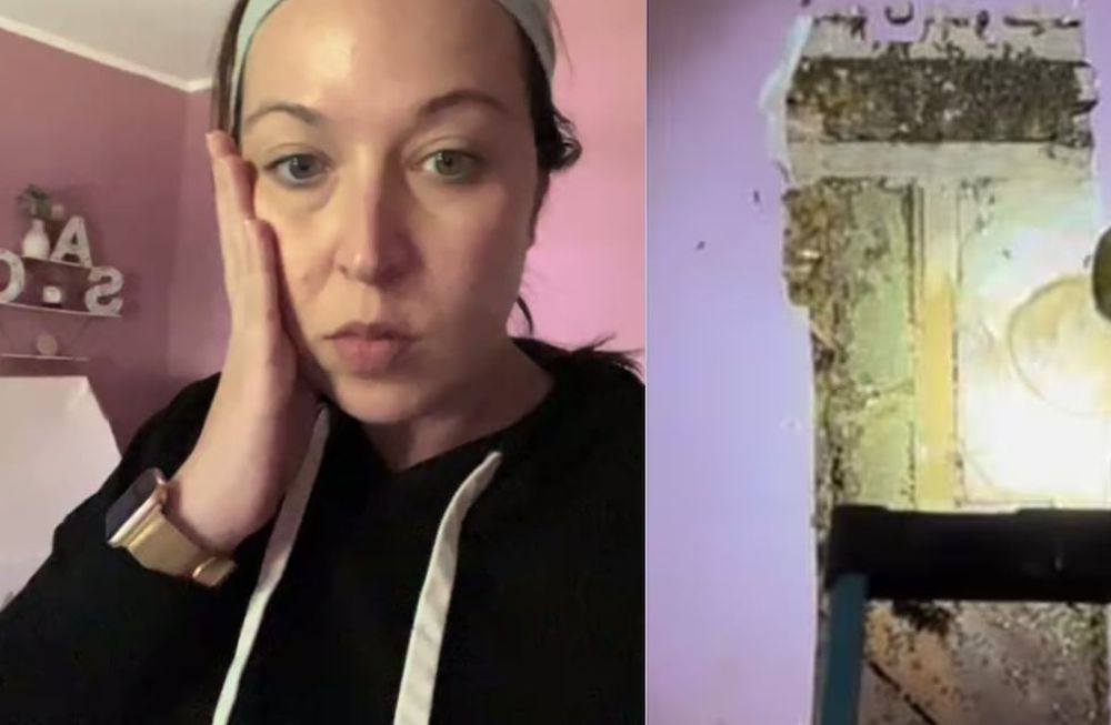 Ashley, una mujer oriunda de Carolina del Norte, decidió inspeccionar su casa tras el aviso de su hija y se llevó una desagradable sorpresa. Foto: Captura video