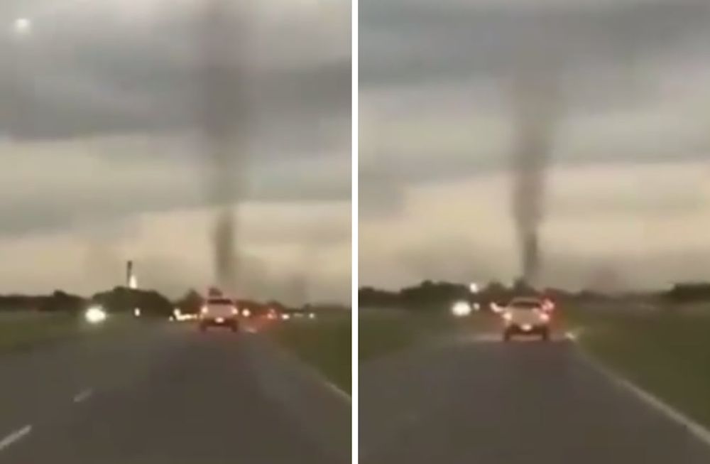 Una nube de mosquitos fue registrada cerca de Pinamar. Aseguran que no afectan a seres humanos.