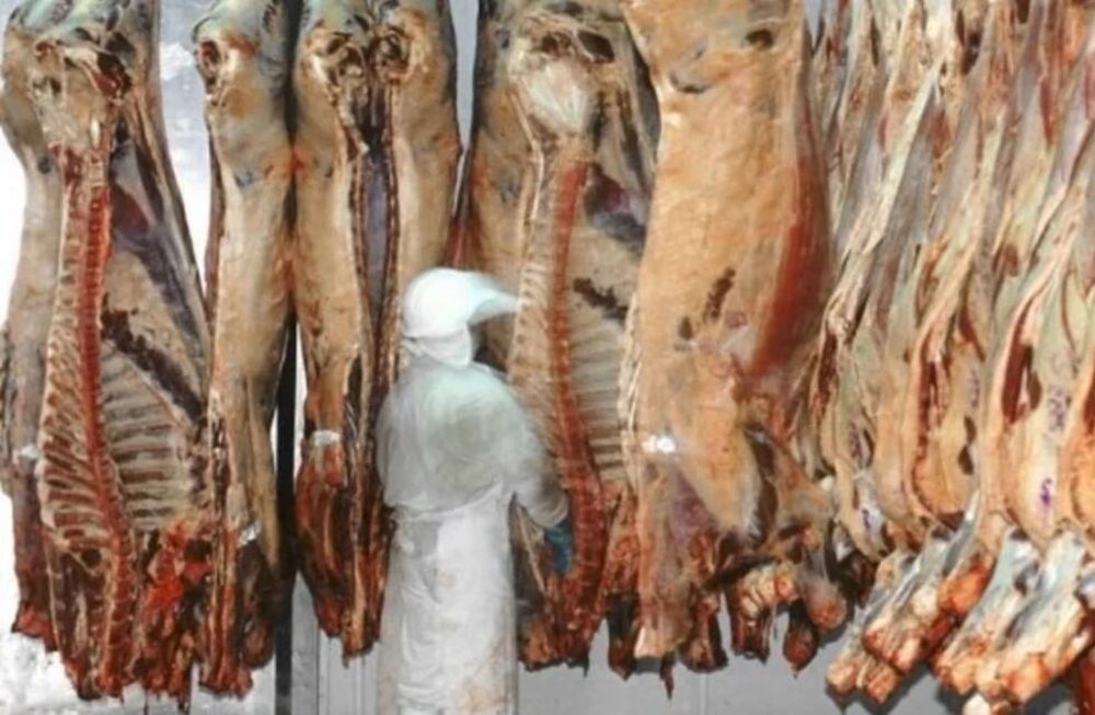 En la carne vacuna, el crecimiento de las ventas globales fue de casi el 20% entre enero y mayo, en comparación con el mismo período del año pasado