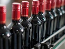  La convocatoria apunta a facilitar financiamiento a MiPyMEs agrícolas, agroindustriales y vitivinícolas, con cupos por entidad de hasta USD 40 millones.