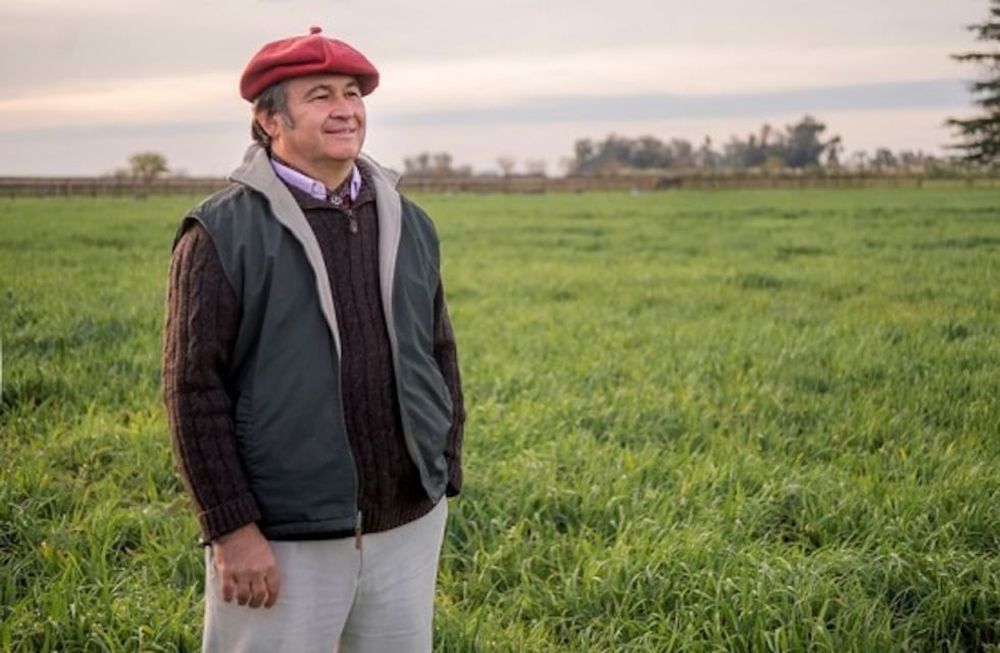 La cosecha de granos presenta cifras importantes, con disminución de soja, pero récords de maíz y trigo y crecimiento excepcional de los precios internacionales.