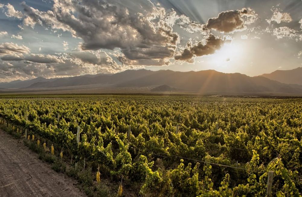 Cuánto dinero invertirá el Gobierno en Portezuelo y cuánto en agro en 2020