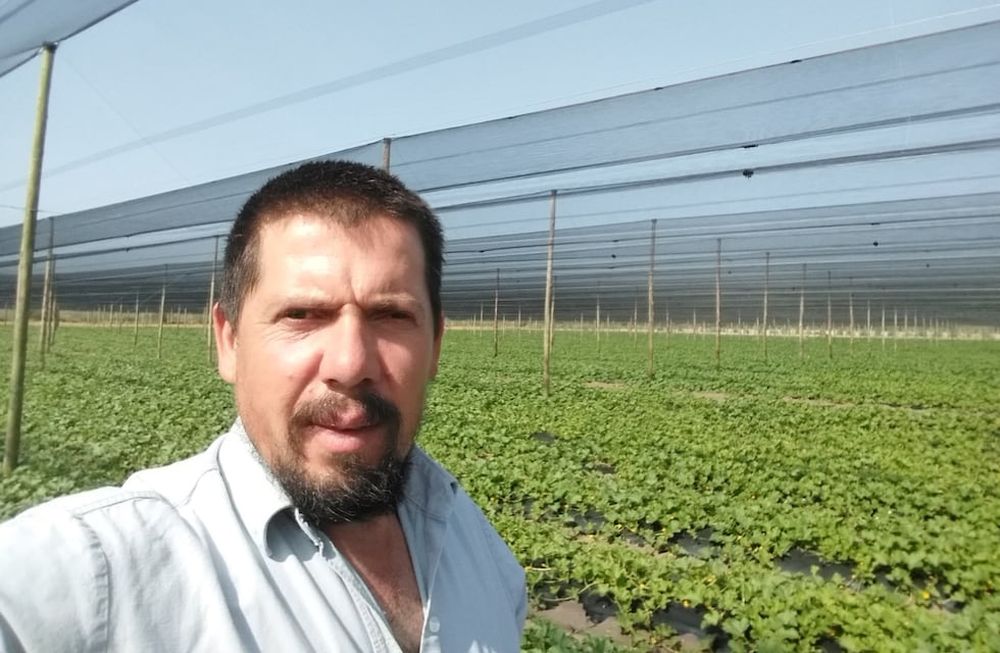 Entrevista a Enzo García productor de General Alvear, líder de un emprendimiento agrícola que produce ciruelas, duraznos, tomates y uva.
