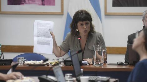 Los Andes | La presidenta de la Comisión de Juicio Político, Carolina Gaillard (Foto: Federico López Claro)
