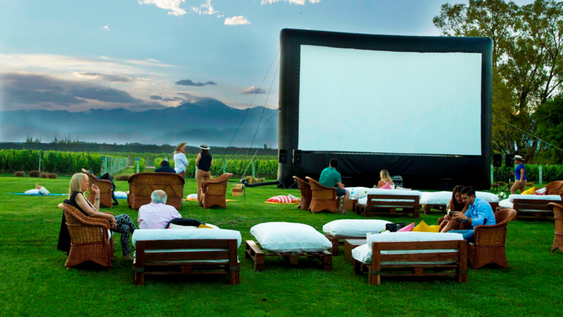 Vino al Cine