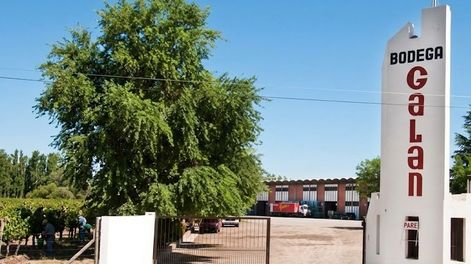 Conflicto en Bodega Antonio González: trabajadores cumplen cinco días de asamblea por falta de pago de sueldos y aguinaldos.