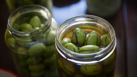 Escuela de Negocios: la edición 2021 del programa dependiente del Ministerio de Agricultura de la Nación ya cuenta con la participación de 30 empresas mendocinas. Foto: Ignacio Blanco / Los Andes