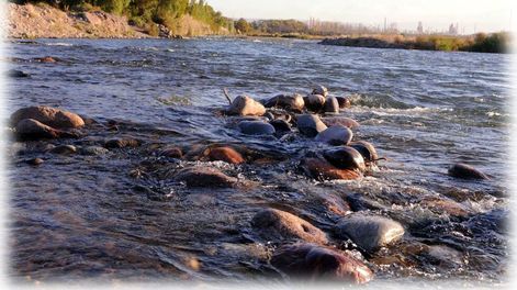 La gestión territorial rural frente al cambio de época