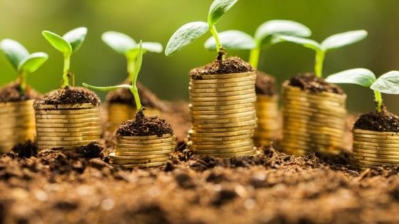 Cómo los bonos verdes pueden financiar proyectos de pymes mendocinas