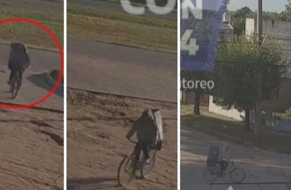 Maia fue trasladada con una caja en la cabeza para pasar desapercibida - Captura / Gentileza