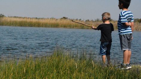 Los Andes | En el humedal Laguna de Soria, se encuentra 40 kilómetros de la ciudad capital, viven 120 especies de fauna, algunas consideradas vulnerables.