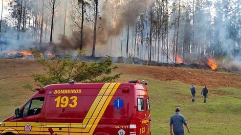 Una de las víctimas es Celso Silveira Mello Filho, hermano del propietario de uno de los principales grupos productores de biocombustibles. Foto: Gentileza