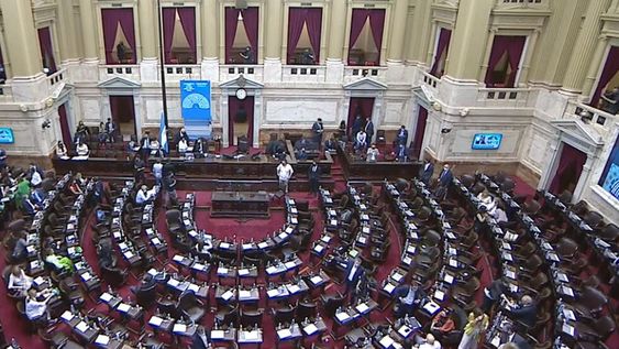 En vivo: Diputados trata la legalización del Aborto