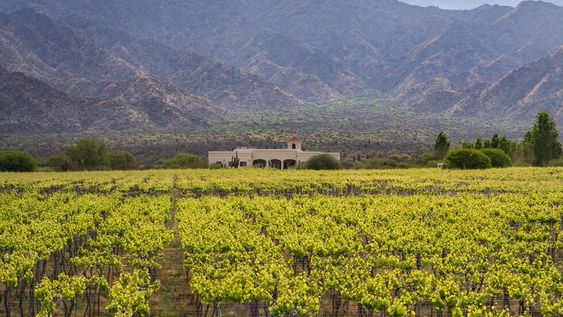 Cafayate se prepara: en marzo llega Wine Trail 2023