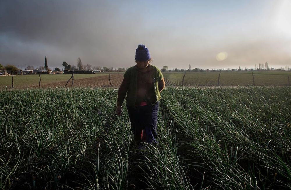Guillermo Carmona: “Vamos a volver al crédito a tasa cero para el pequeño productor”