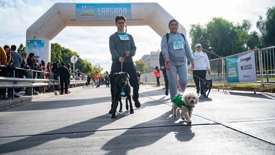 estos seran los cortes de calle en la ciudad por la maraton animal 2025