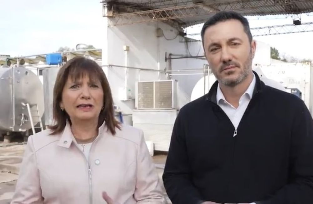 Patricia Bullrich y Luis Petri salieron a defender a Javier Milei tras los polémicos dichos sobre Malvinas