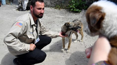 El sueño americano de los perros tirados en Chernóbil