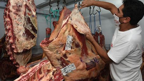 El gobierno provincial analiza el impacto de la restricción a las exportaciones de carne sobre los ganaderos locales. Orlando Pelichotti/Los Andes.