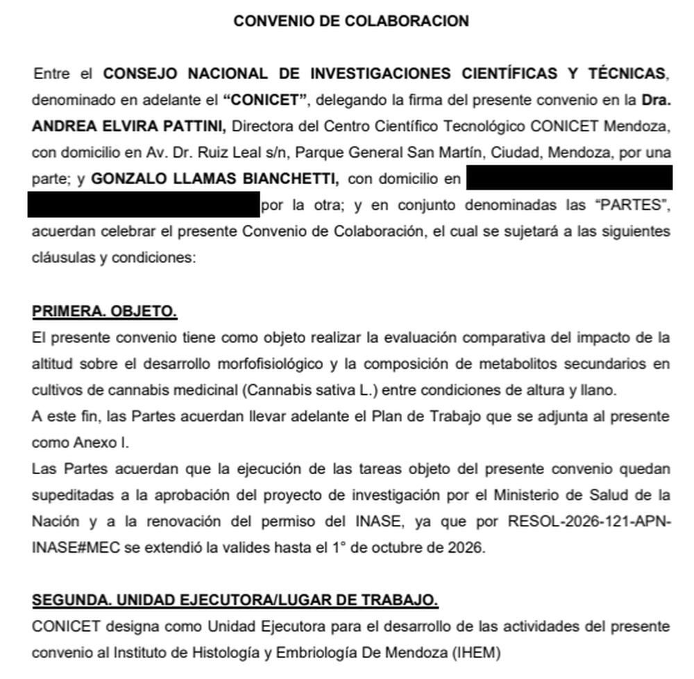 Cannabis medicinal: el inédito proyecto mendocino para producir a 3,000 msnm y que aportará información clave