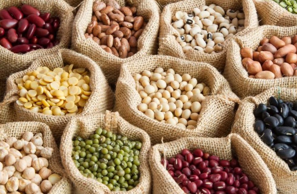 Fin de la discusión: ¿La proteína vegetal puede reemplazar a la proteína animal? 