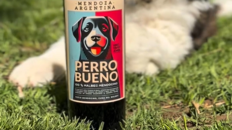 Un vino sanrafaelino que dona parte de sus ganancias a refugios para perros fue distinguido en la Legislatura Un vino sanrafaelino que dona parte de sus ganancias a refugios para perros fue distinguido en la Legislatura