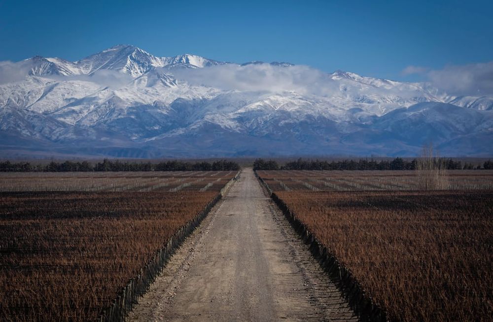 Los mendocinos prefieren los paisajes verdes sobre los áridos, asignándoles mayor valor estético a los primeros. / Foto: Ignacio Blanco / Los Andes