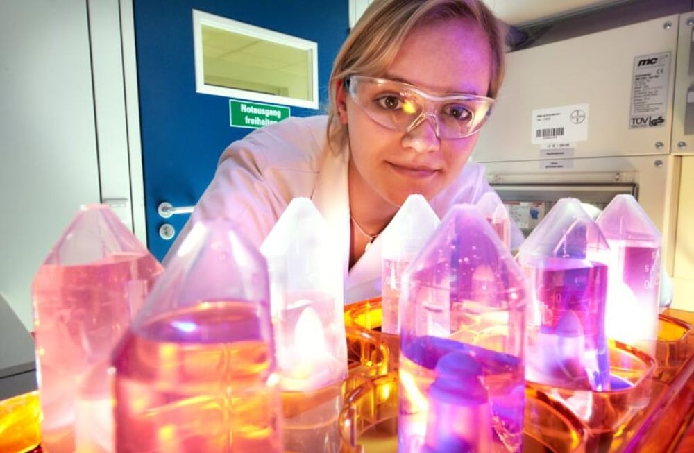 Cáncer infantil: importancia de los controles clínicos y avances en los tratamientos