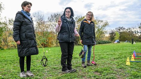 Los Andes | En Alemania nació el Hobby Dogging, tendencia que se basa en pasear, entrenar y hacer ejercicios de obediencia con perros imaginarios.