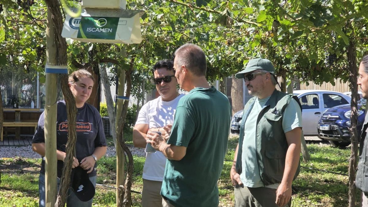 El Iscamen desarrolló un sistema de <b>inteligencia artificial</b> para detectar plagas con trampas ... thumbnail