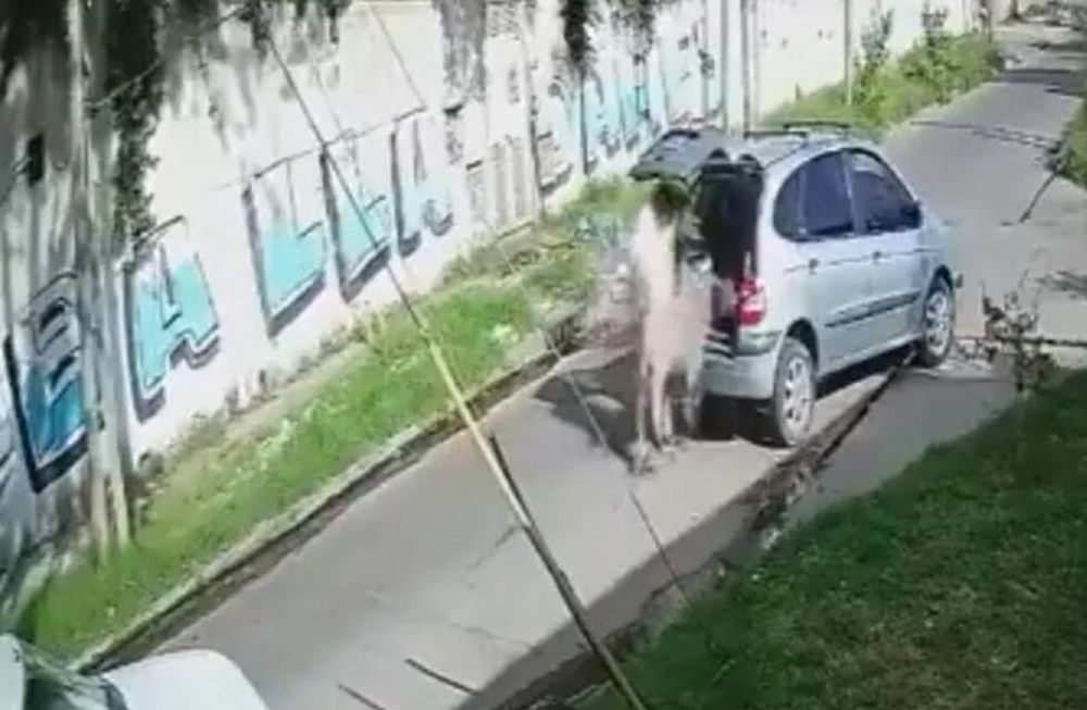 Imagen de la cámara de seguridad. / Gentileza: Crónica TV