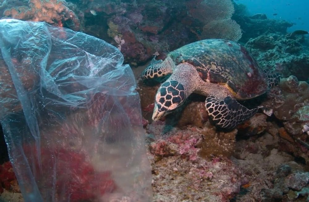 Desde los problema agrícolas hasta la contaminación del mar, el documental aborda las diferentes problemáticas planteando un futuro sin remedio.