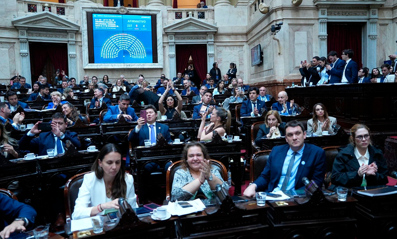 Diputados dio media sanción a la nueva Ley de Discapacidad y la iniciativa pasó al Senado