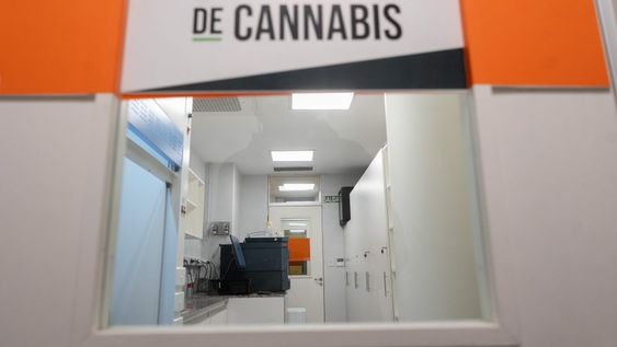 Laboratorio Cannabis Medicinal: inauguraron en Mendoza un laboratorio para analizar muestras de cannabis en 15 minutos, eliminando la necesidad de enviarlas a otras provincias. Foto: gentileza Gobierno de Mendoza