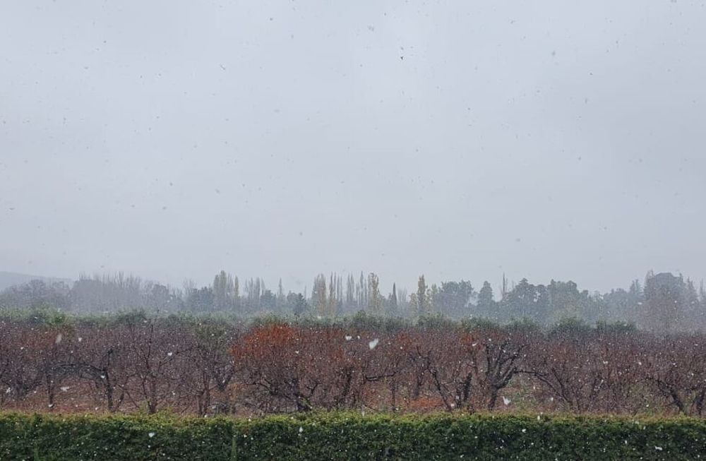 Anticipan un domingo frío y con alerta por nevadas en Mendoza&nbsp;