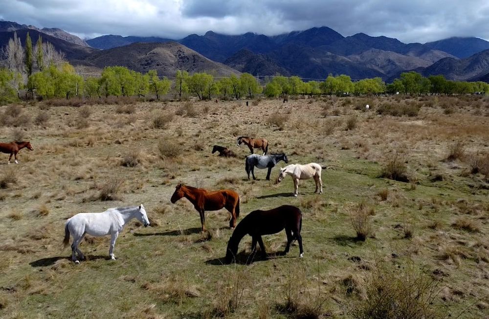 Turismo en Mendoza: empresarios del Valle de Uco se meten en el debate sobre precios, calidad y qué hace falta