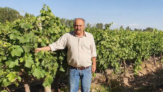 Mario Leiva, productor y presidente de la Sociedad Rural del Valle de Uco.