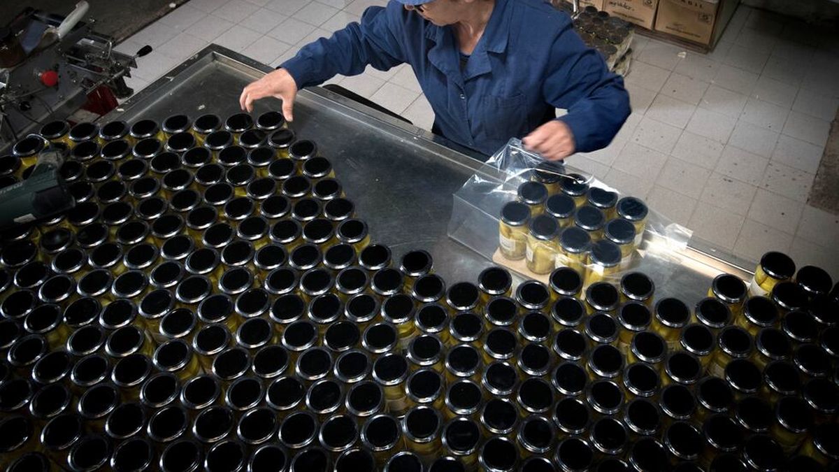 ALERTA INDUSTRIAL: Temen desabastecimiento de gas este invierno