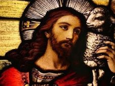 En el Evangelio de hoy, Jesús ve a las multitudes y se compadecía de ellas, porque estaban extenuadas y desamparadas, como ovejas sin pastor. En el Evangelio de hoy, Jesús ve a las multitudes y se compadecía de ellas, porque estaban extenuadas y desamparadas, como ovejas sin pastor.