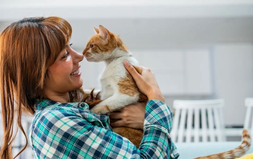 Las experiencias positivas repetidas pueden contribuir a que el gato asocie a esa persona con seguridad y bienestar.
