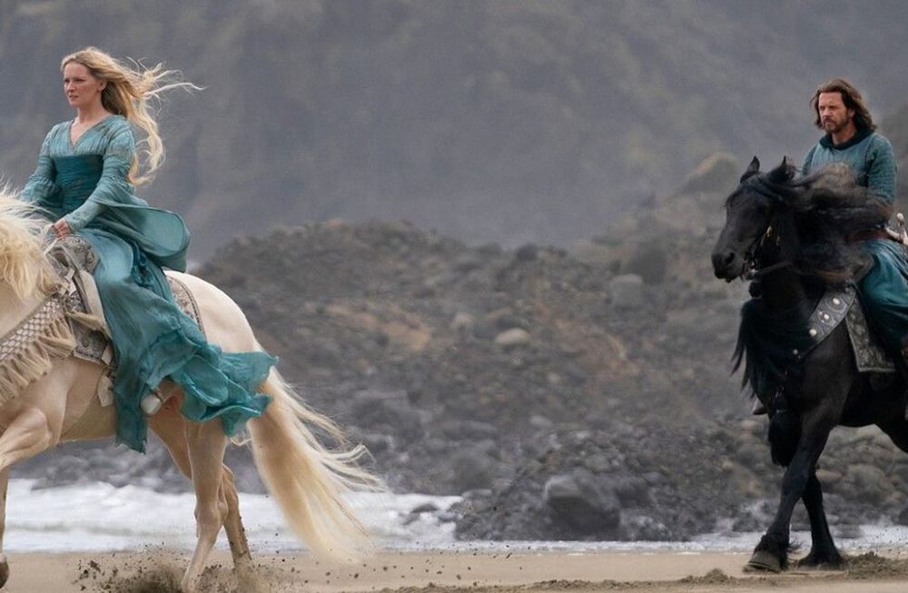 El animal sufrió un paro cardíaco el 21 de marzo antes de los ensayos mientras estaba siendo ejercitado. Gentileza: El Argentino Diario.
