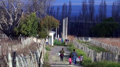 Según la Encuesta de Actividades de Niñas, niños y adolescentes (EANNA) más de 53 mil niños, niñas y adolescentes trabajan en Cuyo.