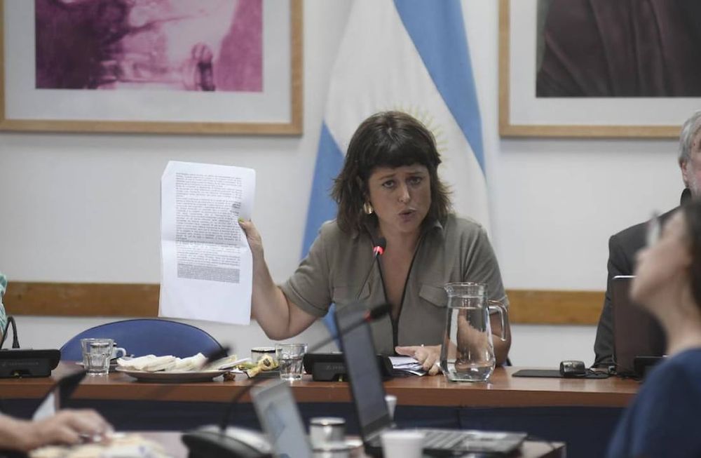 La presidenta de la Comisión de Juicio Político, Carolina Gaillard (Foto: Federico López Claro)