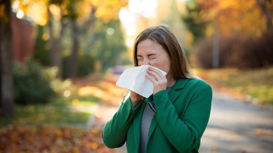 Los cambios de temporada pueden producir empeoramientos de los síntomas de alergia, sobre todo, en aquellas personas que sufren rinitis alérgica o asma. Foto: 123 rf