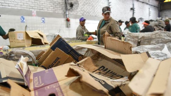 Todo sobre el reciclaje del cartón para seguir cuidando el ambiente