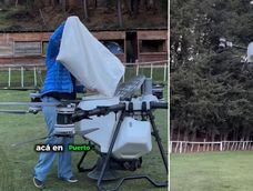 Vecinos y científicos denuncian la siembra de pasto con drones en zonas incendiadas