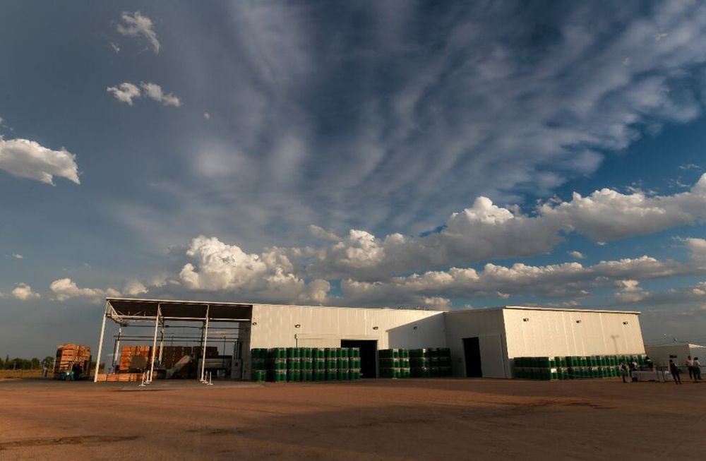 La Pulpera municipal, emplazada en Cuadro Nacional, en San Rafael exportará fruta de los productores de la zona